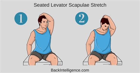 Upper Trapezius And Levator Scapula Stretch