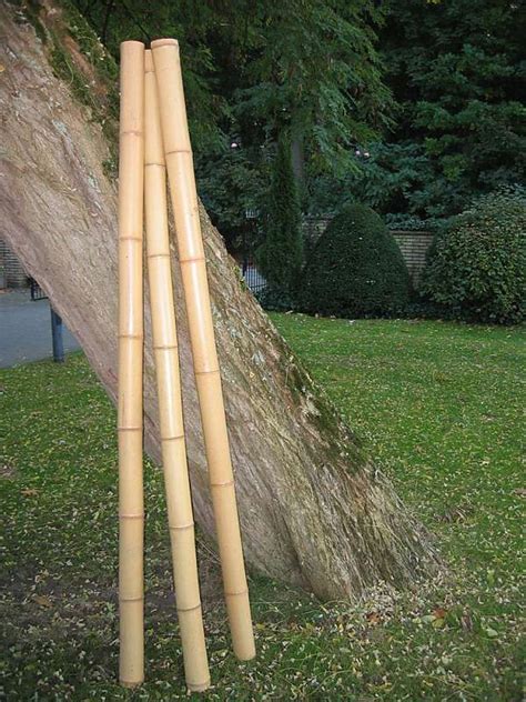 Wieso möchten sie als kunde der japan garten deko zu eigen machen ? Pin auf Garten