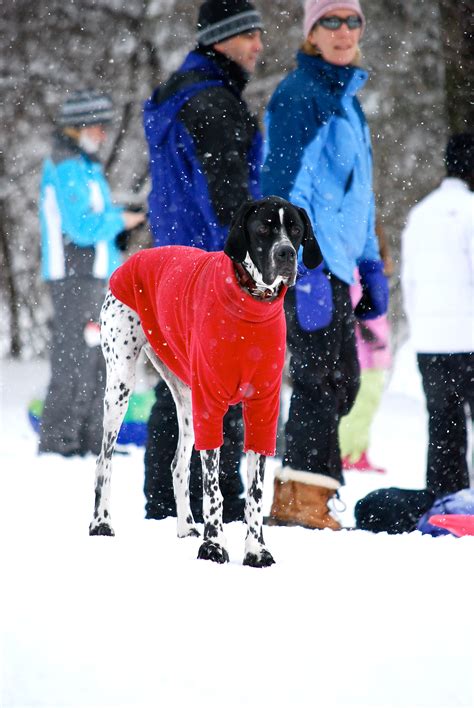 Darien Patch Winter Storm Watch | Darien, CT Patch