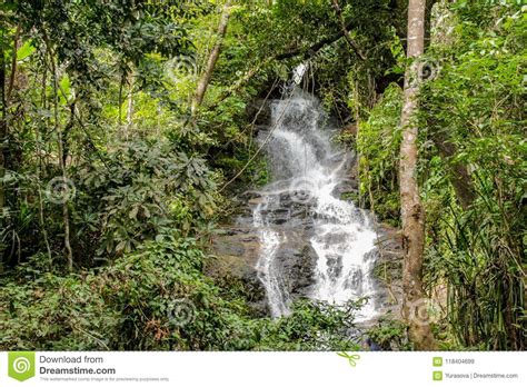 Waterfall In Green Jungle Tropical Forest Stock Image