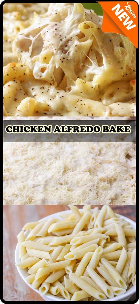 Chicken Alfredo Pasta Bake Recipe Spesial Food