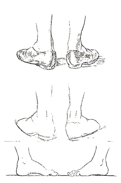 How To Draw Feet And Toes With Human Foot Drawing Lessons And Tutorials