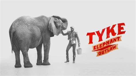 Watch Tyke Elephant Outlaw