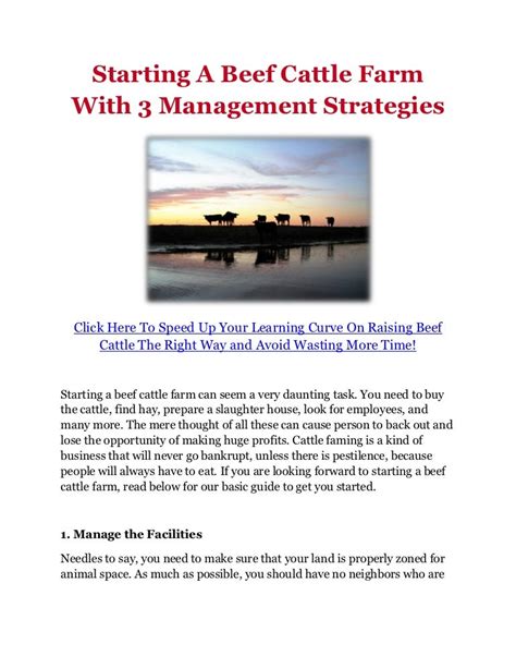 Starting A Beef Cattle Farm With 3 Management Strategies