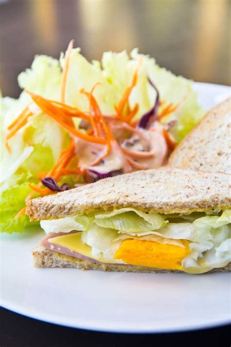 Breakfastclub Sandwich And Salad Stock Photo Image Of Leaf Plate