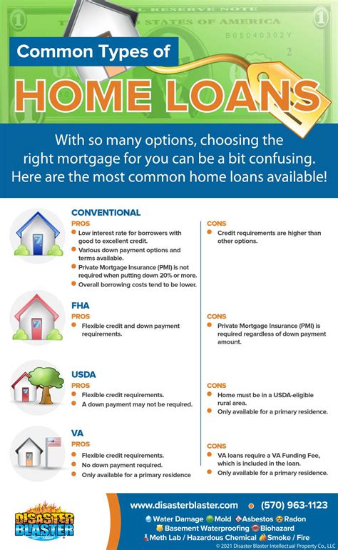Common Types Of Home Loans Infographic Disaster Blaster