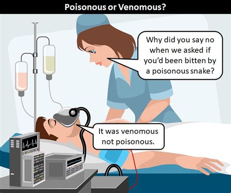 The Difference Between Poisonous And Venomous Grammar Lesson