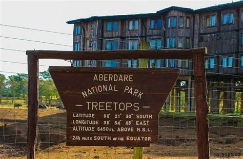 Treetops Lodge Aberdares4 Safaris In Kenya Africa