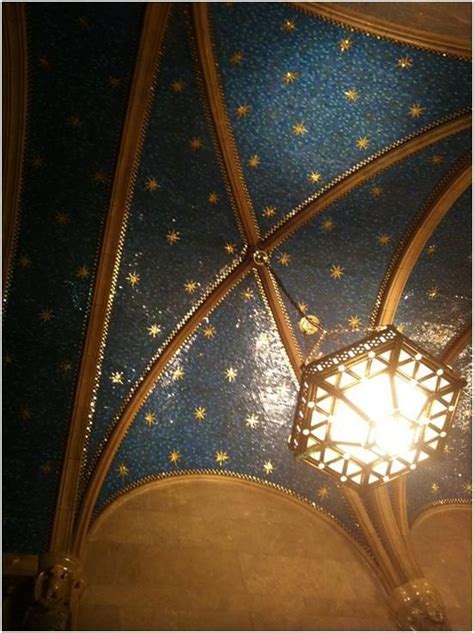 Starry Starry Night Constellation Ceilings Starry Ceiling Starry