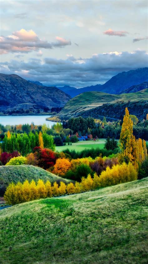 Beautiful Colorful Autumn Trees And Landscape View Of Mountain River 4k