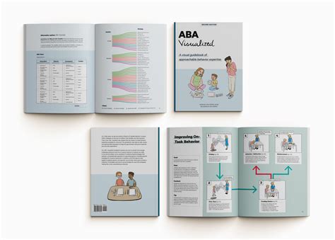 Aba Visualized Guidebook 2nd Edition Different Roads