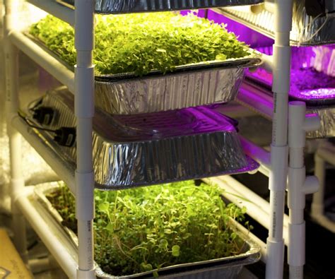 Use this chart to determine how many lumens you'll need from your next light bulb. Grow Light and Irrigation Hood - 54W, 3300 Lumens, $18 : 3 ...