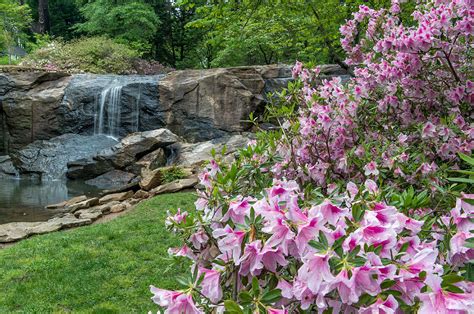 Come by and meet our team today. Rock Quarry Falls in Greenville SC Cleveland Park ...