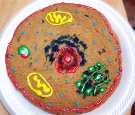 I used two different sponge recipes for the top and bottom part respectively, just because i. Not So Humble Pie: Science Cookie Roundup #5