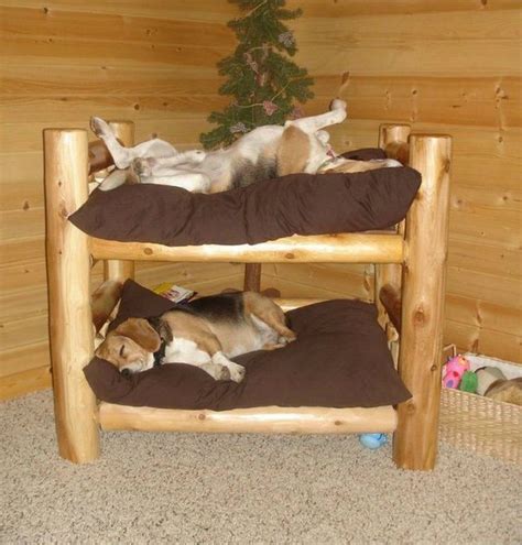 11 Fabulous Dog Bed Design Ideas Your Pets Will Enjoy The Owner