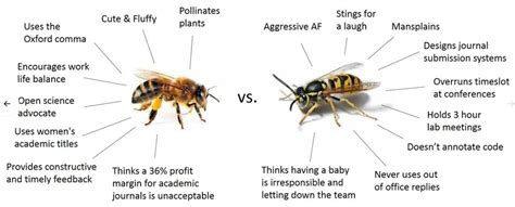 What39s The Difference Between Wasps Bees And Hornets