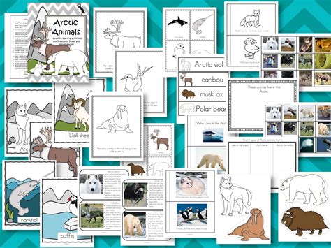 Arctic Animals Pack Theme Unit With Posters Photos Games And