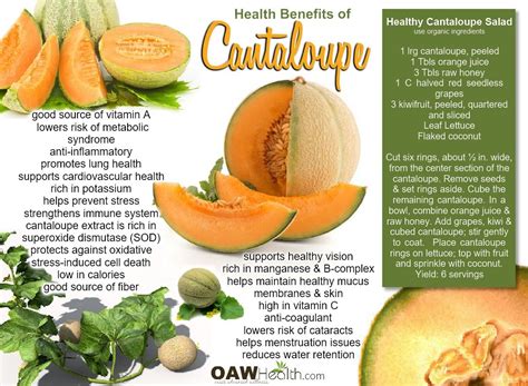 Cantaloupe Melon Nutrition Data Tere Fruit
