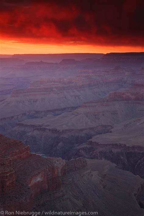 Grand Canyon Sunset Photos By Ron Niebrugge
