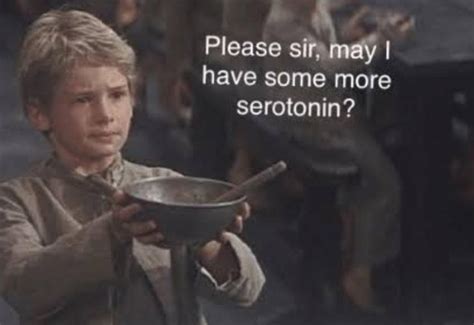 Oliver Twist Serotonin Know Your Meme