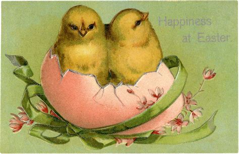 28 Easter Chicks Clipart Images The Graphics Fairy