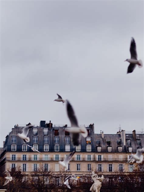 Parisian Sky Paris Photography Wall Art Print Etsy
