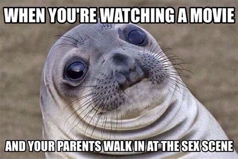 Awkward Moment Seal Meme Shares Your Embarrassment Wired Uk