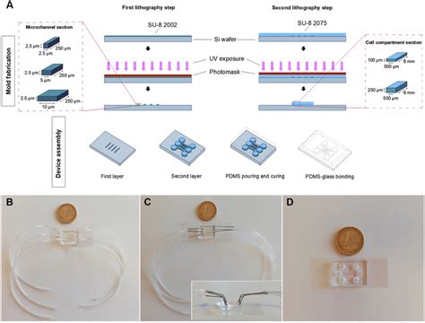 A Fabrication Of The Microfluidic Device The Mold Was Realized On A Download Scientific