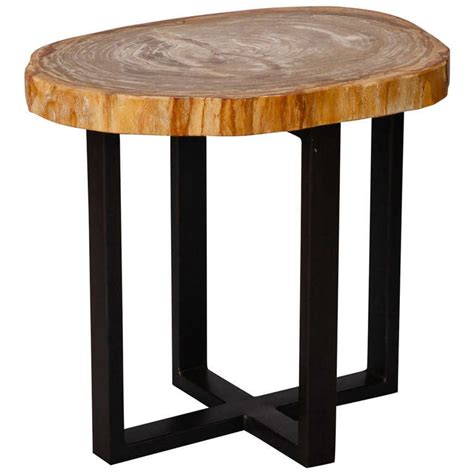 H) by home decorators collection (27) industrial rustic brown round side table with sturdy metal frame. Small Side Table with Petrified Wood Top and Metal Legs at 1stdibs