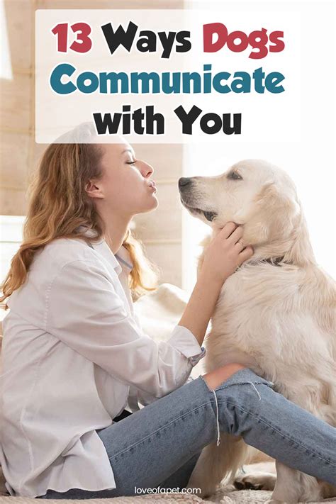 13 Ways Dogs Communicate With You Love Of A Pet In 2021 Dog