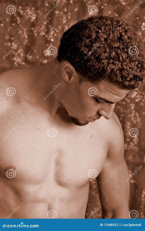 Male With Curly Hair Stock Photography Image