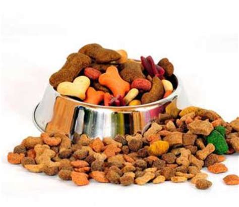 Here at top quality dog food, we like to stick to the basics—provide a variety, feed the way nature intended, and have fun doing it! Dispelling the Myth That High Protein Dog Food Causes ...