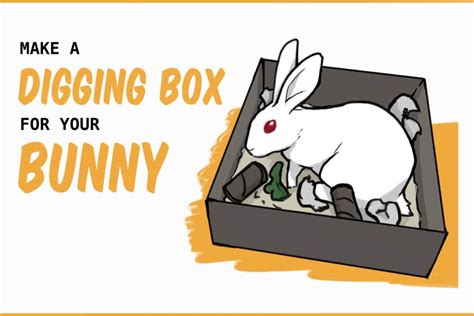 Diy Rabbit Digging Box