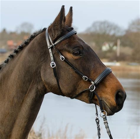 She asked me if i could shoot her and her horse tulukky. Bidløs trense