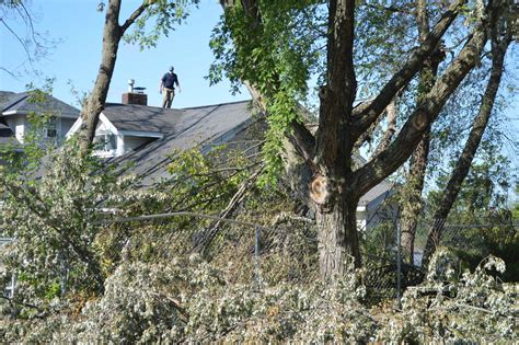 Read or post a review about cedar tree & landscape service inc. Iowa's slow road to recovery after derecho windstorm - Homegrown Iowan