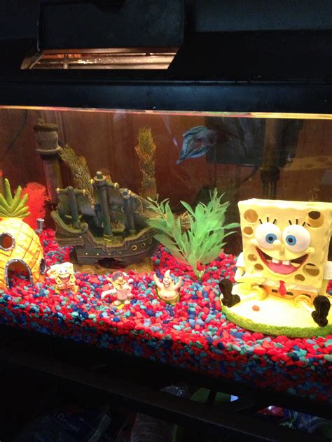 Sponge Bob Fish Tank Kids Would Love This Fish Tank Spongebob Fish