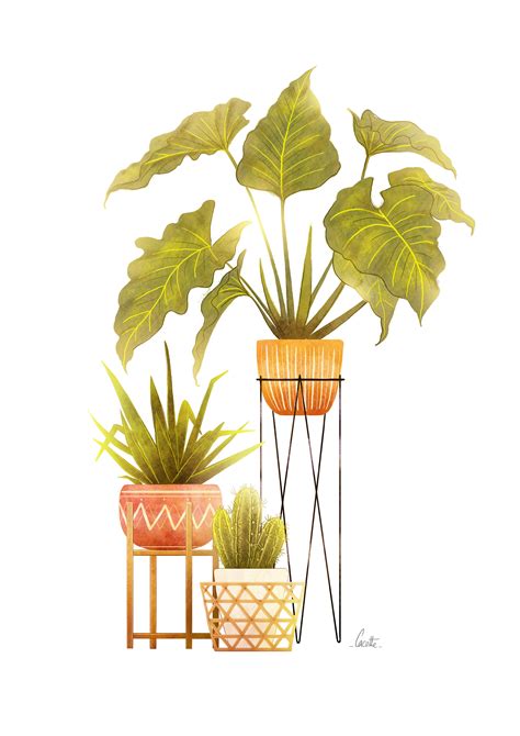 Plantes By Cacotte Plant Illustration Plant Sketches Plants