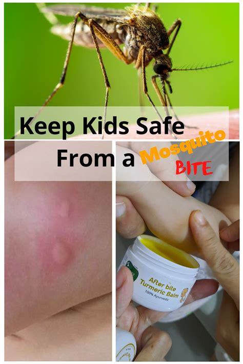 7 Most Effective Ways To Keep Kids Safe From A Mosquito Bite
