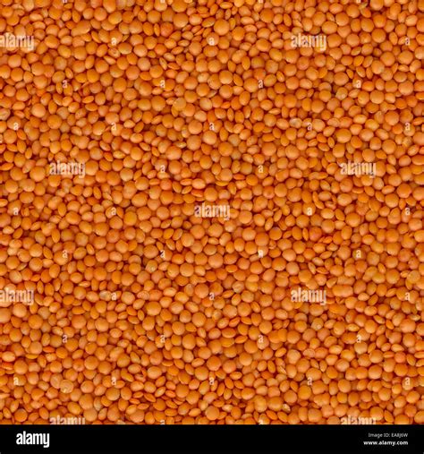 Orange Lentils Close Up Seamless Tileable Texture Stock Photo Alamy