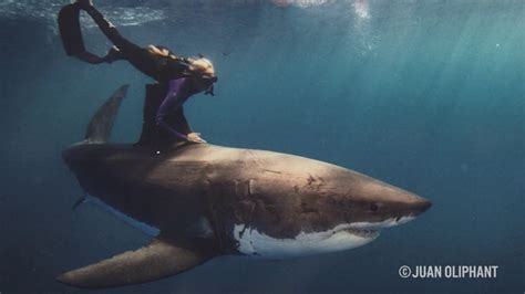 Ocean Ramsey Is The Little Blond Girl Who Is Protecting Great White