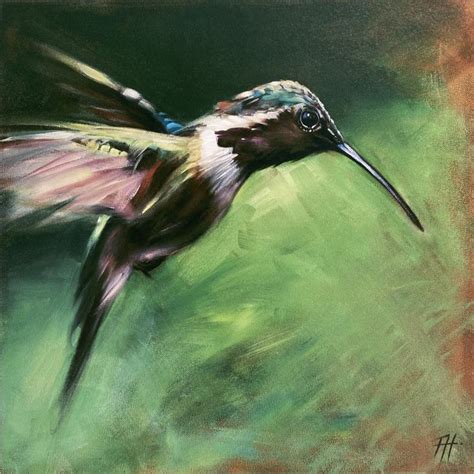 Hummingbird Fine Art Prints By California Wildlife And Animal Artist