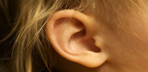 Health Check What You Need To Know About Ear Wax