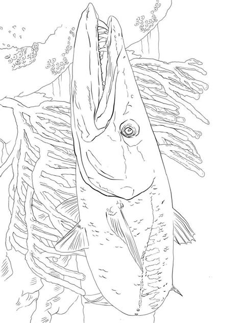 Angry barracuda coloring page angry barracuda printable coloring page, free to download and print. Barracuda coloring pages. Download and print Barracuda ...