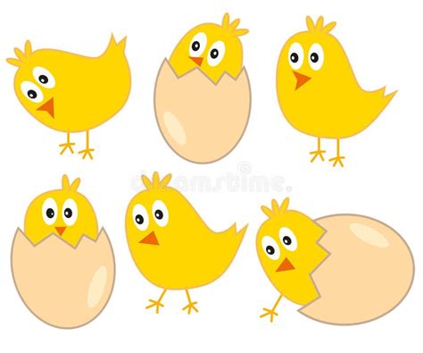 Cute Yellow Easter Chickens With Eggs Vector Illustration Isolated On