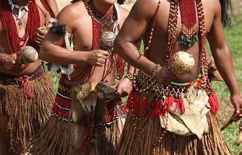 10 principais tribos indígenas do Brasil Hot Sex Picture