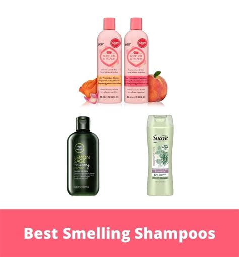 Top 10 Best Smelling Shampoos 2023 The Apex Beauty