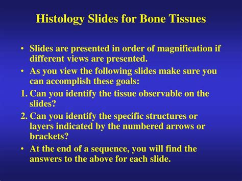 Ppt Histology Slides For Bone Tissues Powerpoint Presentation Id733828