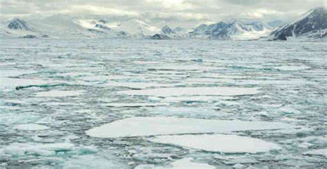 30 Interesting Facts About The Arctic Ocean