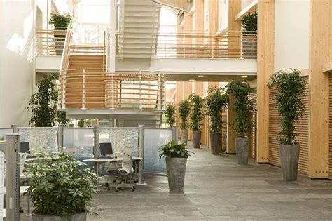 An introduction to Biophilic Design for Offices - Tsunami Axis