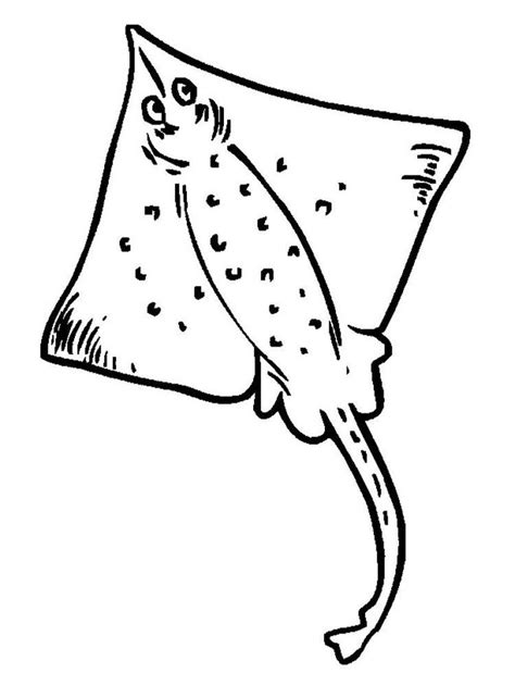 Enjoy 20 free coloring pages! Printable Manta Ray Coloring Page. Moving like a graceful ...